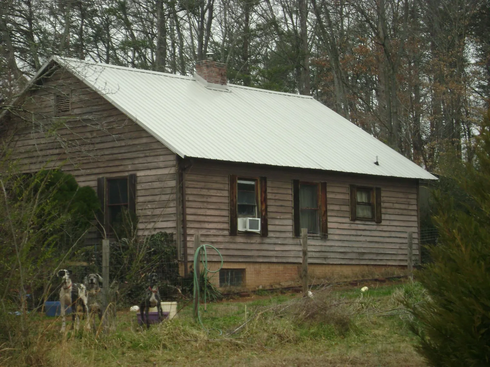White metal roof on an old wood sided farmhouse, from a Asphalt Shingle Roof Repair job in Slovan